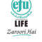 Efu Life Assurance Ltd logo